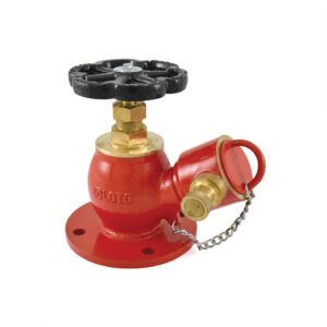 zoloto Bronze Landing (Fire Hydrant) Valve (Flanged)