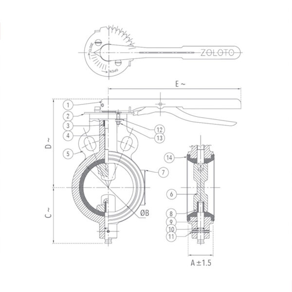 zoloto Butterfly Valve (Wafer Type), PN 1.6 with S.S 304 Disc