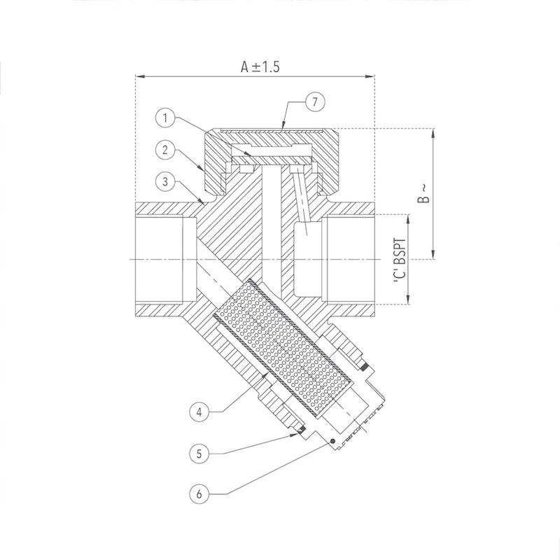 zoloto Stainless Steel Thermodynamic Steam Trap (Screwed)